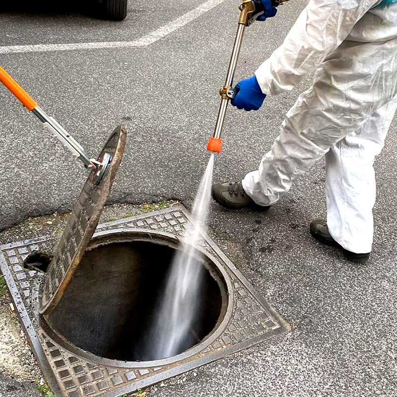 Deblattizzazione a Napoli