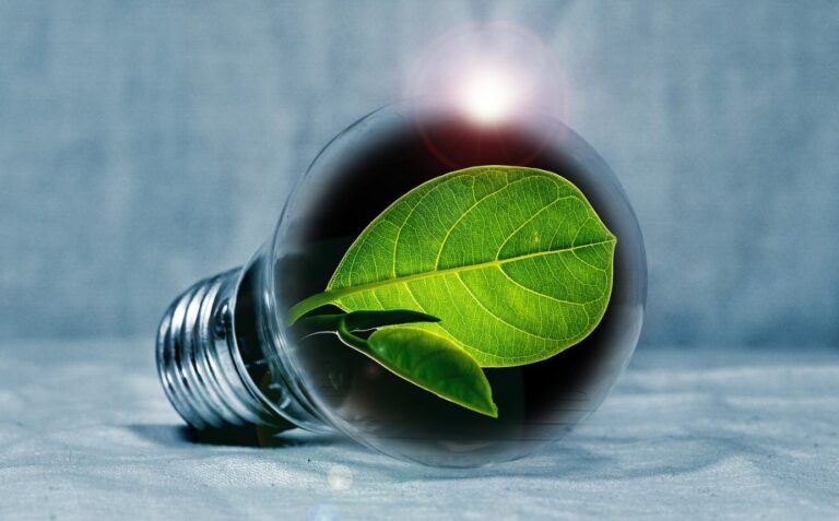 Illustrazione della green economy promossa da Puliglobal, con simboli di sostenibilità e servizi di pulizia ecologica.